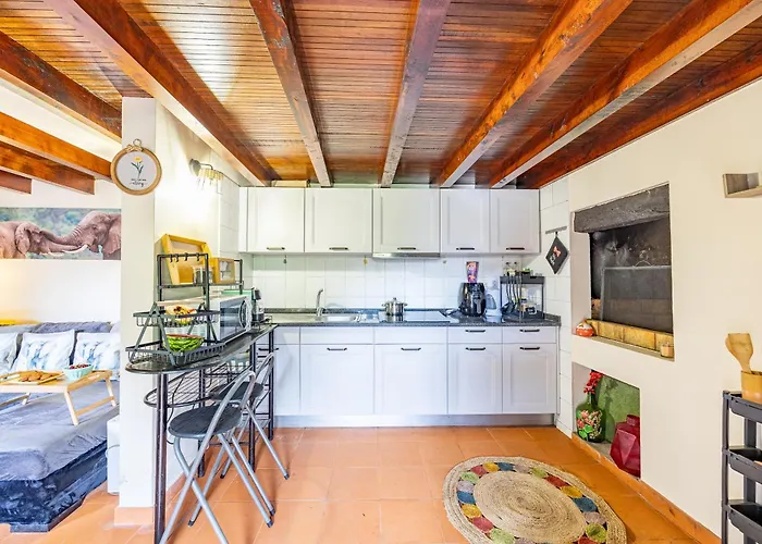 別荘 Sounds Of Nature